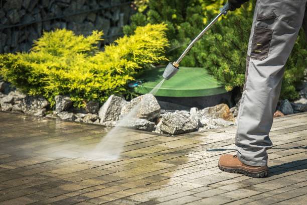 Best Patio and Deck Pressure Washing  in Farmington, NM